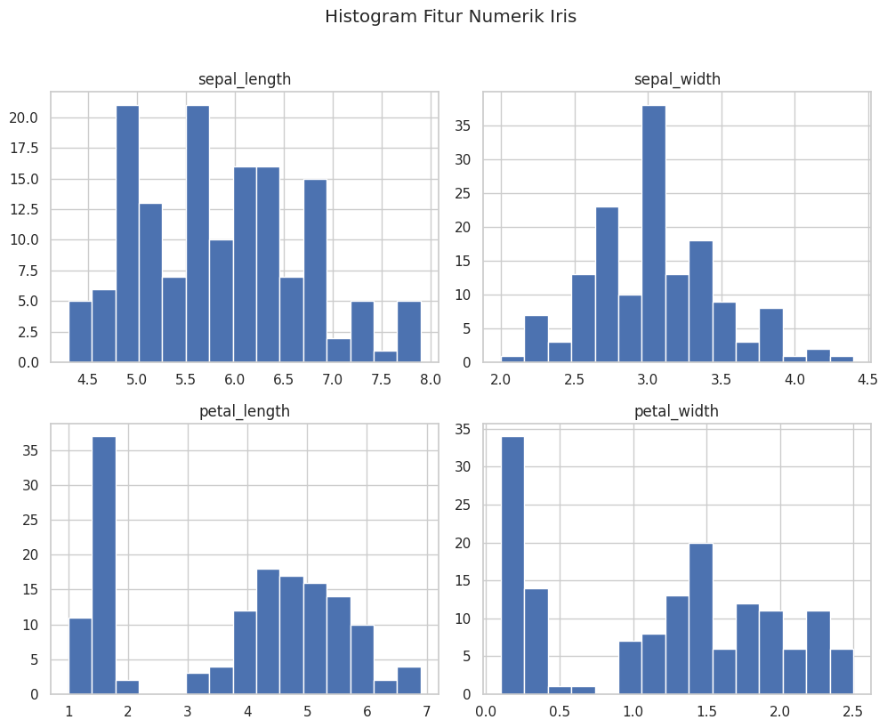 Histogram Fitur